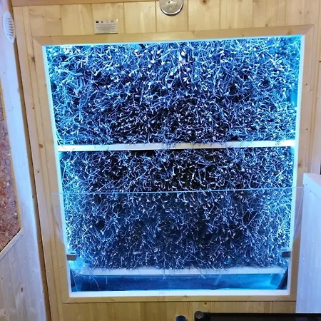 ゲストハウス Mecikowka